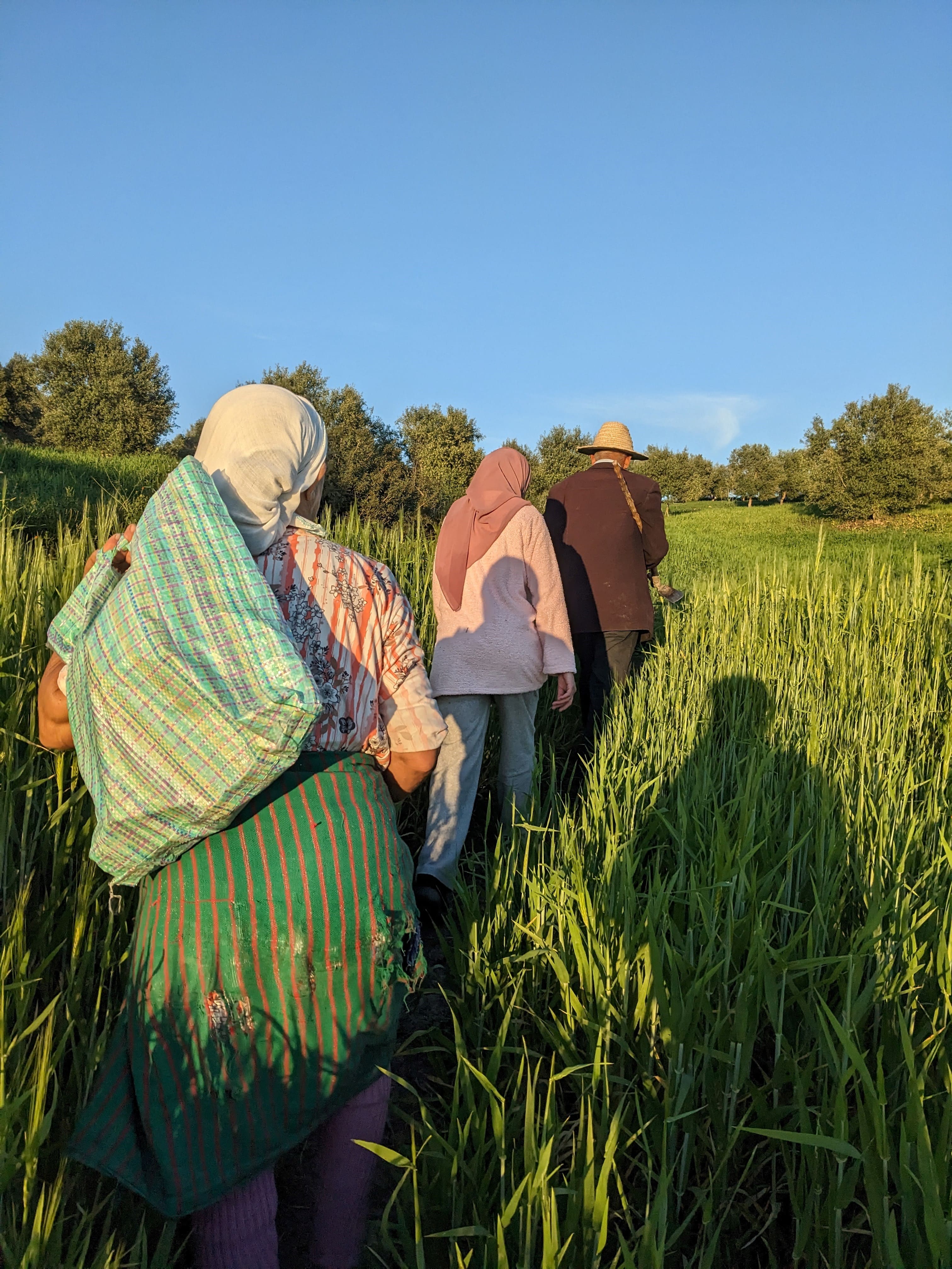 Retour du travail au champs, Ouezzane - Maroc